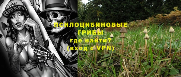 PSILOCYBIN Беломорск