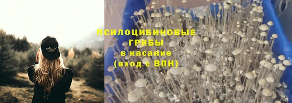 твердый Белокуриха