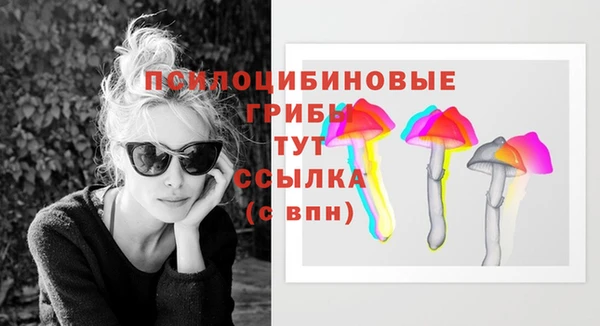 твердый Белокуриха