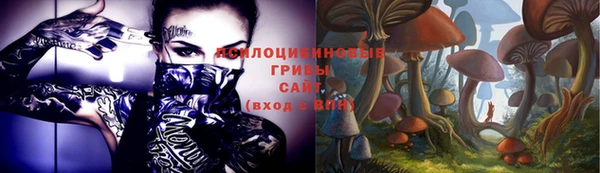 PSILOCYBIN Беломорск