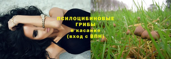 твердый Белокуриха