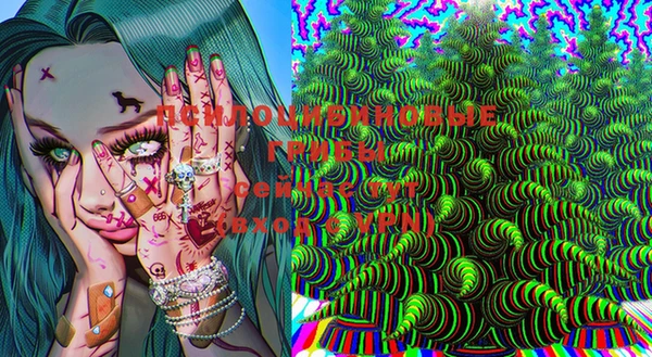 твердый Белокуриха