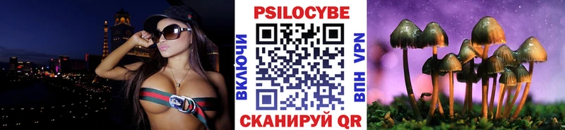 мега ONION  Володарск  Псилоцибиновые грибы Magic Shrooms 